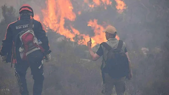 Bodrum'daki orman yangını 6 saat sonunda kontrol altına alındı