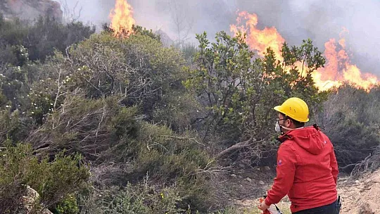 Bodrum'daki orman yangını 6 saat sonunda kontrol altına alındı
