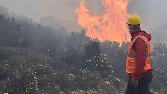 Bodrum'daki orman yangını 6 saat sonunda kontrol altına alındı