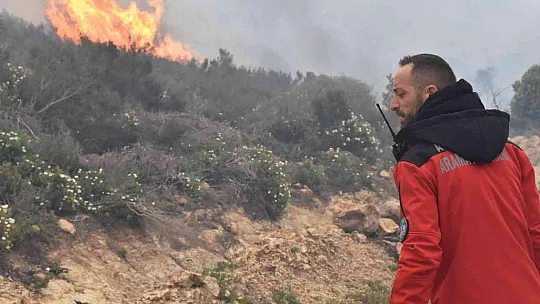 Bodrum'daki orman yangını 6 saat sonunda kontrol altına alındı