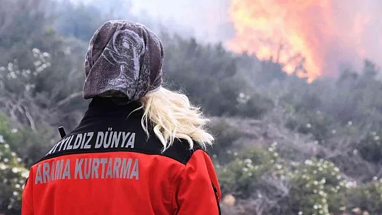 Bodrum'daki orman yangını 6 saat sonunda kontrol altına alındı