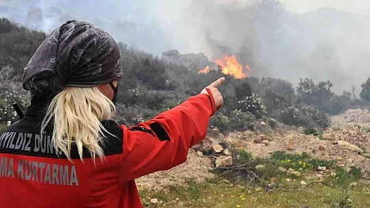 Bodrum'daki orman yangını 6 saat sonunda kontrol altına alındı