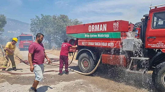 Bodrum'daki yangın 3 saatlik çalışmayla söndürüldü