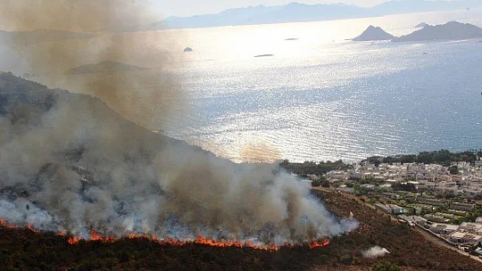 Bodrum'daki yangın 4 saatte kontrol altına alındı, 50 hektarlık alan kül oldu
