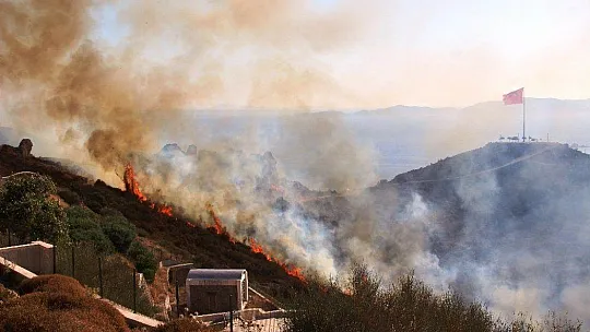 Bodrum'daki yangın 4 saatte kontrol altına alındı, 50 hektarlık alan kül oldu