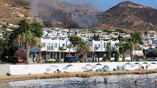 Bodrum'daki yangın 4 saatte kontrol altına alındı, 50 hektarlık alan kül oldu