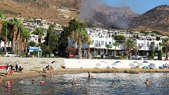 Bodrum'daki yangın 4 saatte kontrol altına alındı, 50 hektarlık alan kül oldu