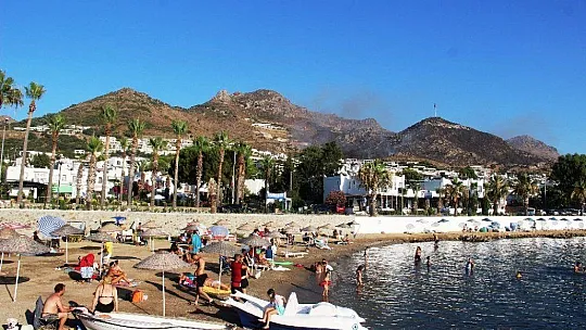 Bodrum'daki yangın 4 saatte kontrol altına alındı, 50 hektarlık alan kül oldu