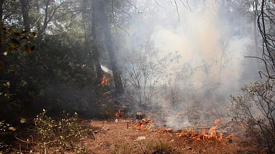 Bodrum'daki yangın bölgesinde risk devam ediyor