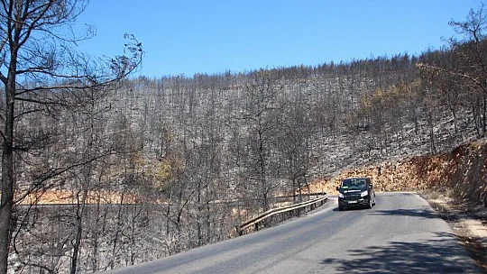 Bodrum'daki yangın bölgesinde risk devam ediyor