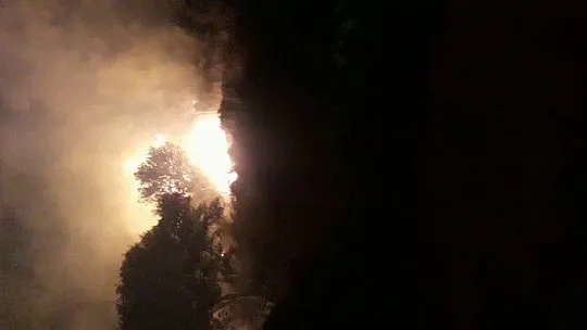 Bodrum'daki yangında 10 dönün makilik alan zarar gördü