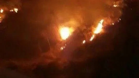 Bodrum'daki yangında 10 dönün makilik alan zarar gördü