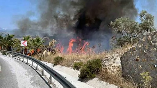 Bodrum Havalimanı kavşağında yangın