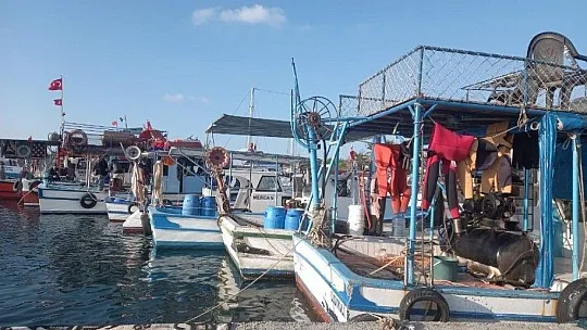 Yılmaz, 'Avcılık değil yağma yapıyorlar'