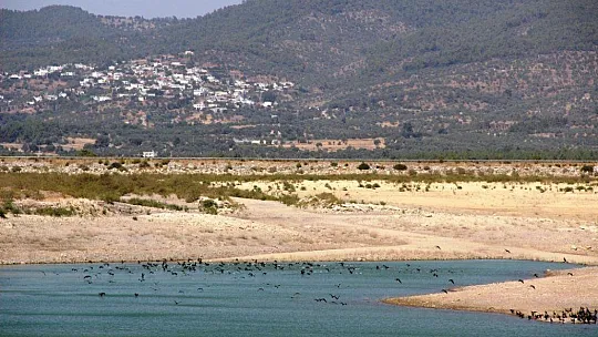 Bodrum'u besleyen su kaynağı tükenmeye başladı