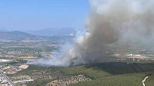 Bodrum yangını büyüyor