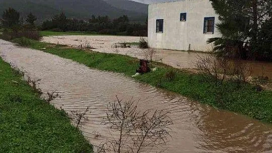 Bodrum yine kabusu yaşıyor