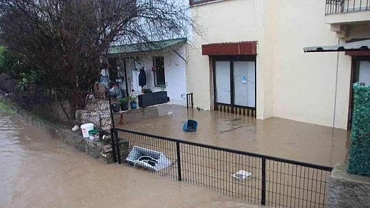 Bodrum yine kabusu yaşıyor