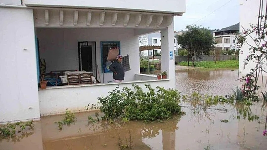 Bodrum yine kabusu yaşıyor