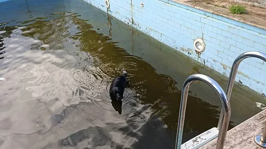 Bodrum'da ekipler, su taşkınlarına karşı teyakkuzda