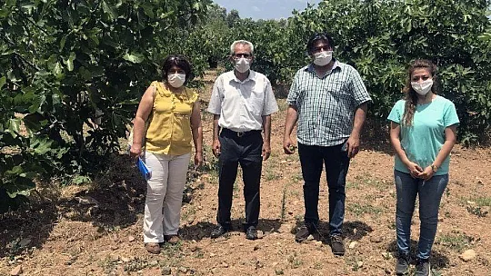 Bodrumlu çiftçiler bilgilendiriliyor
