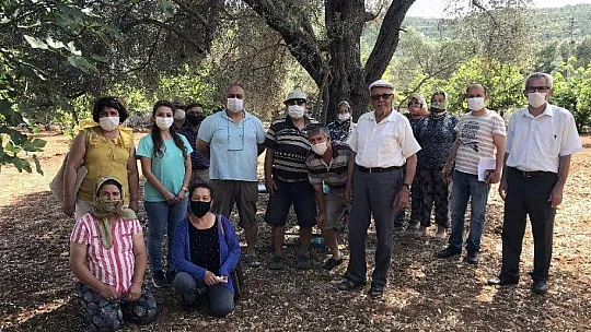 Bodrumlu çiftçiler bilgilendiriliyor