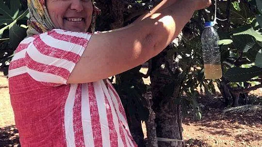 Bodrumlu çiftçiler bilgilendiriliyor