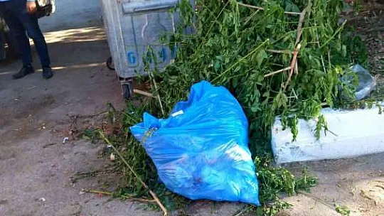 Boş konteynerlerin çevresi çöplüğe döndü