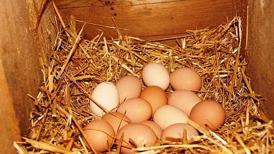 Böyle sıfır atık projesi görülmedi tonlarca atık tekrar toprağa döndü