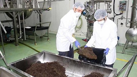 Böyle sıfır atık projesi görülmedi tonlarca atık tekrar toprağa döndü