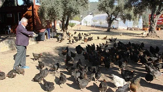 Böyle sıfır atık projesi görülmedi tonlarca atık tekrar toprağa döndü