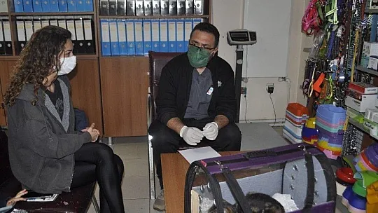 Bu da down sendromlu sevimli kedi