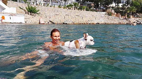Bu köpeğin en büyük zevki sörf yapmak