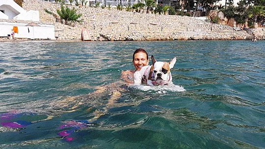 Bu köpeğin en büyük zevki sörf yapmak