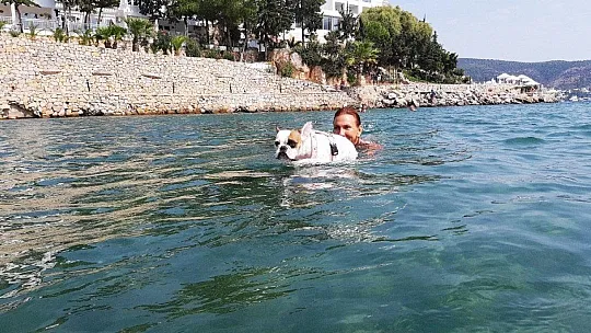 Bu köpeğin en büyük zevki sörf yapmak
