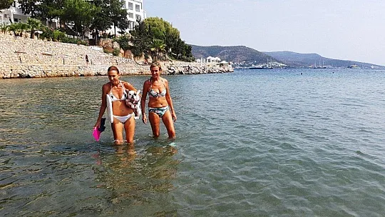 Bu köpeğin en büyük zevki sörf yapmak
