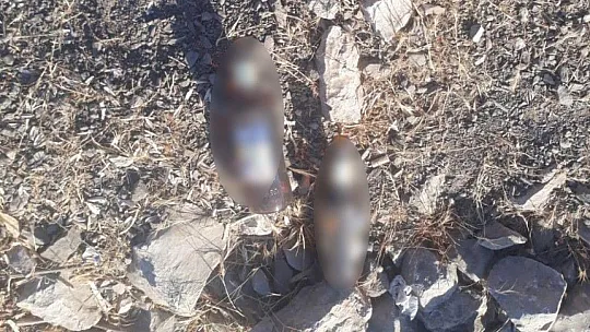 Vatandaşlar Ormanlık Alana Atılan Çöpler Yüzünden İsyan Etti