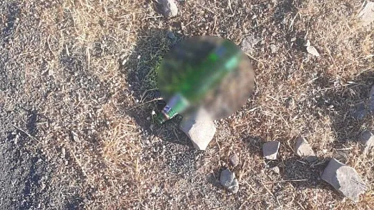 Vatandaşlar Ormanlık Alana Atılan Çöpler Yüzünden İsyan Etti