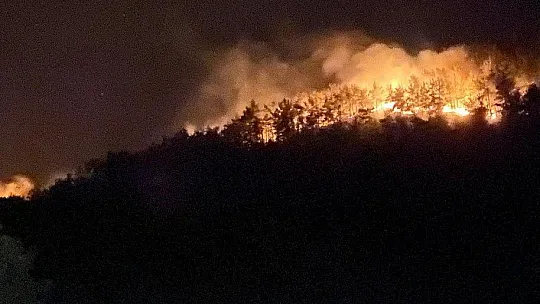 Bursa Yıldırım Belediyesi, Muğla'daki yangınlarda canla başla mücadele ediyor