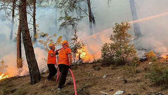 Bursa Yıldırım Belediyesi, Muğla'daki yangınlarda canla başla mücadele ediyor