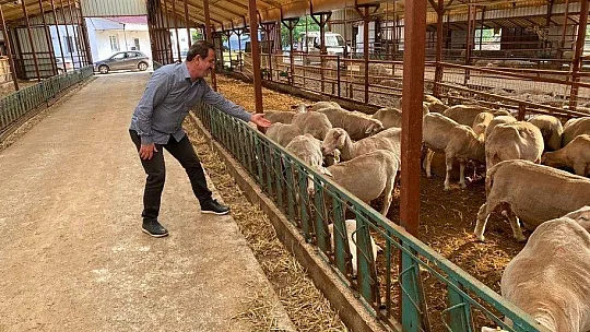 Başkan Öztürk, üreticinin sorunlarını dinledi