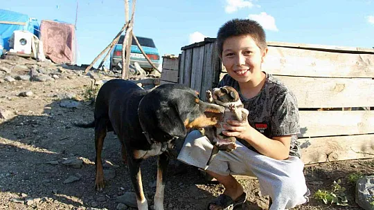 Çadırlarda geçen yaşam