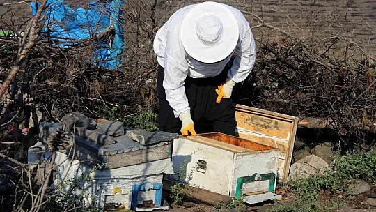 Çadırlarda geçen yaşam