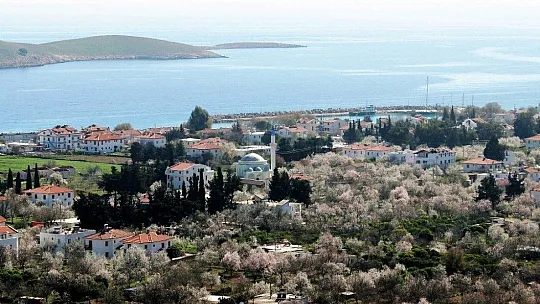 Çağla-badem hasadı başlıyor