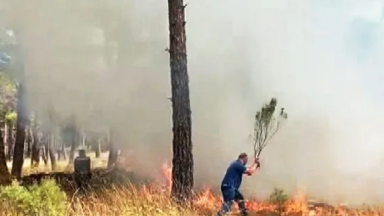 Çalıyı çırpıyı alan köylüler yangına koştu, kadınlar traktör ile su taşıdı