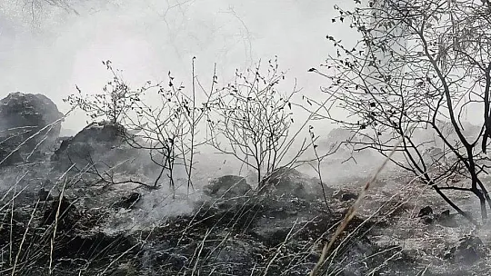 Çalıyı çırpıyı alan köylüler yangına koştu, kadınlar traktör ile su taşıdı