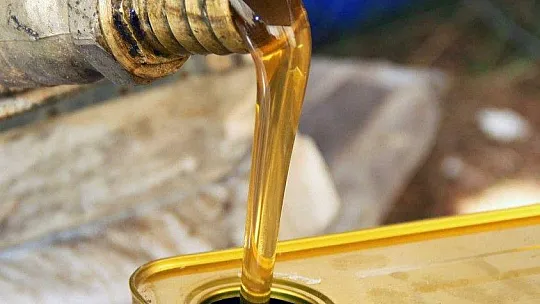 Çam balının merkezinde sıfır rekolte