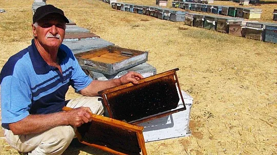 Çam balının merkezinde sıfır rekolte