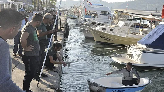 Duyarlı vatandaşlar tarafından kurtarıldı