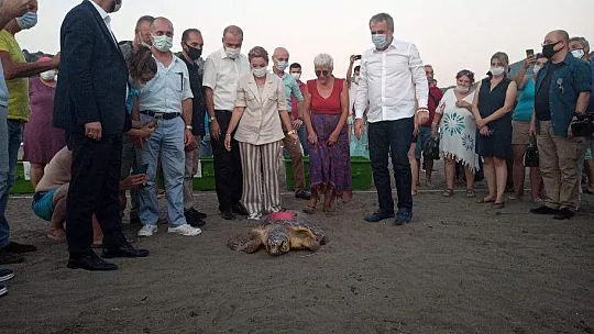 TEDAVİLERİ TAMAMLANAN CARETTA CARETTALAR DENİZE BIRAKILDI
